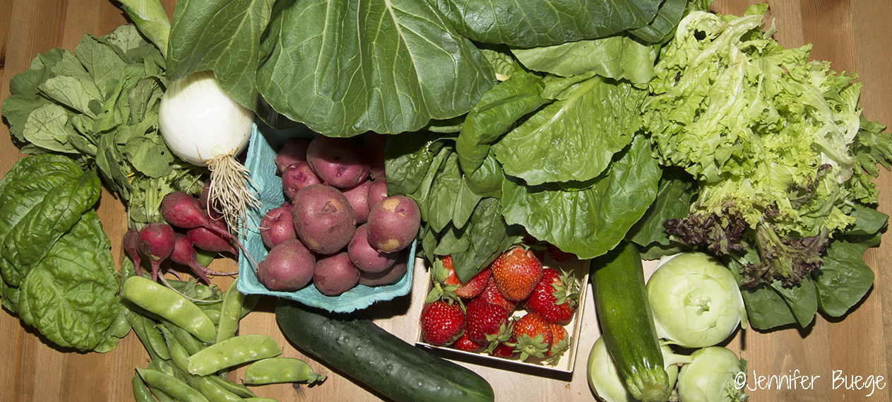 CSA Week 3